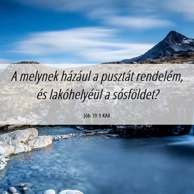 Picture 06 - Jób 39:9 KAR - A melynek házául a pusztát rendelém, és - Bible Verse Picture