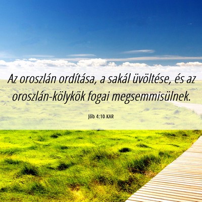 Picture 06 - Jób 4:10 KAR - Az oroszlán ordítása, a sakál üvöltése, - Bible Verse Picture
