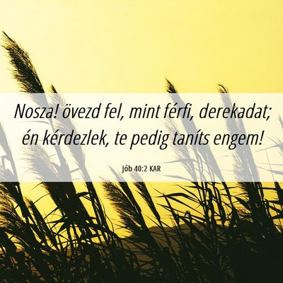 Picture 06 - Jób 40:2 KAR - Nosza! övezd fel, mint férfi, derekadat; én - Bible Verse Picture