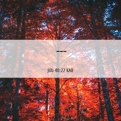 Picture 06 - Jób 40:22 KAR -  - Bible Verse Picture
