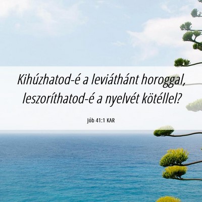 Picture 06 - Jób 41:1 KAR - Kihúzhatod-é a leviáthánt horoggal, - Bible Verse Picture