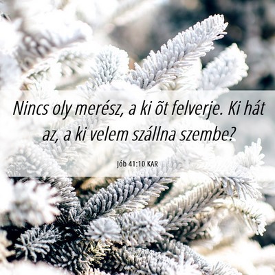 Picture 06 - Jób 41:10 KAR - Nincs oly merész, a ki õt felverje. Ki hát az, - Bible Verse Picture