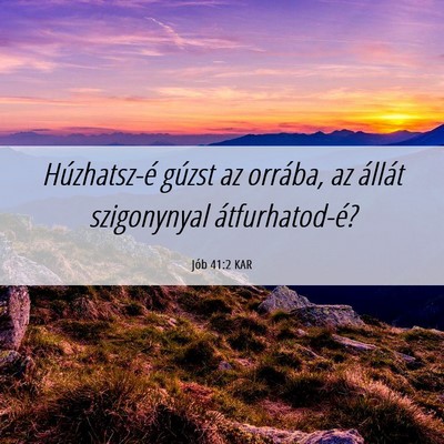 Picture 06 - Jób 41:2 KAR - Húzhatsz-é gúzst az orrába, az állát - Bible Verse Picture
