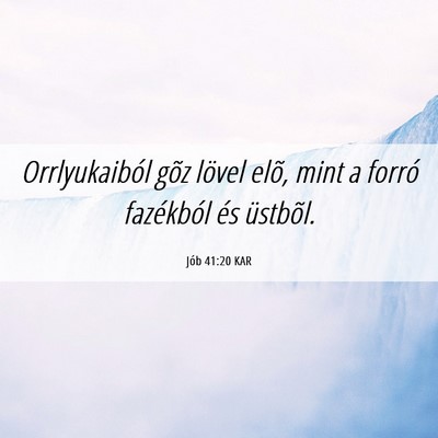 Picture 06 - Jób 41:20 KAR - Orrlyukaiból gõz lövel elõ, mint a forró - Bible Verse Picture
