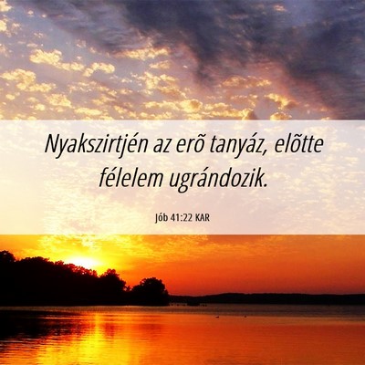 Picture 06 - Jób 41:22 KAR - Nyakszirtjén az erõ tanyáz, elõtte félelem - Bible Verse Picture
