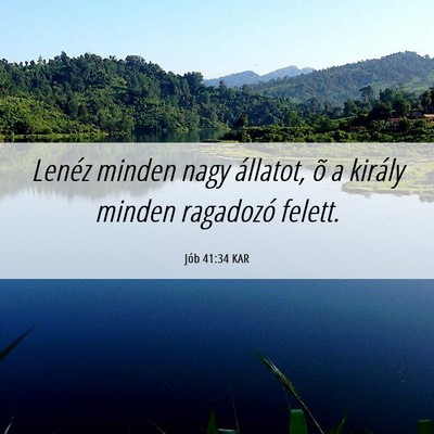 Picture 06 - Jób 41:34 KAR - Lenéz minden nagy állatot, õ a király minden - Bible Verse Picture