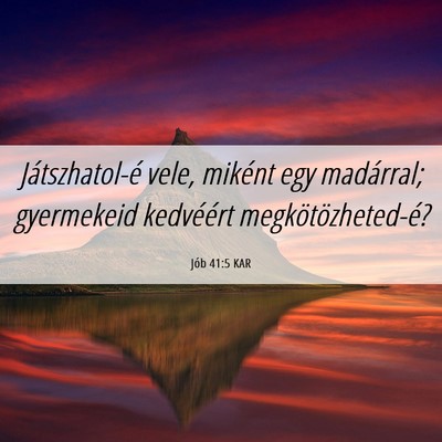 Picture 06 - Jób 41:5 KAR - Játszhatol-é vele, miként egy madárral; - Bible Verse Picture