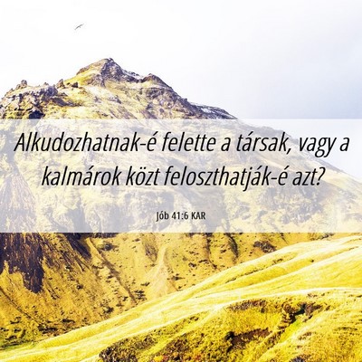Picture 06 - Jób 41:6 KAR - Alkudozhatnak-é felette a társak, vagy a - Bible Verse Picture