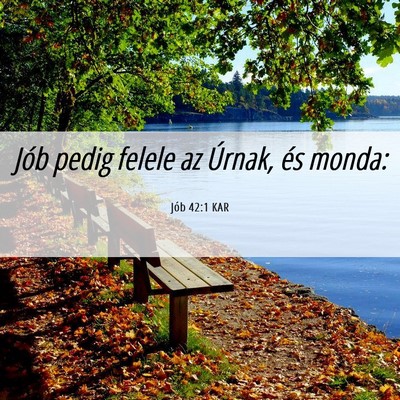 Picture 06 - Jób 42:1 KAR - Jób pedig felele az Úrnak, és - Bible Verse Picture