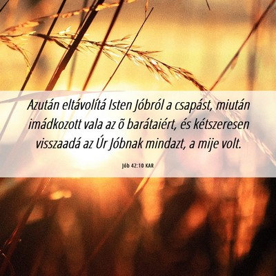 Picture 06 - Jób 42:10 KAR - Azután eltávolítá Isten Jóbról a csapást, - Bible Verse Picture