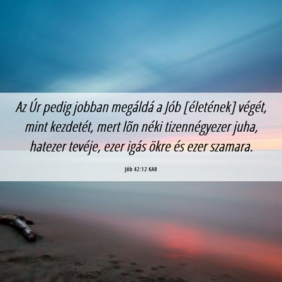 Picture 06 - Jób 42:12 KAR - Az Úr pedig jobban megáldá a Jób [életének] - Bible Verse Picture