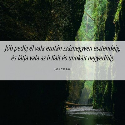 Picture 06 - Jób 42:16 KAR - Jób pedig él vala ezután száznegyven - Bible Verse Picture