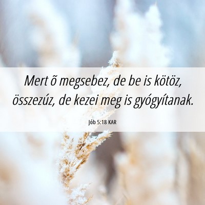 Picture 06 - Jób 5:18 KAR - Mert õ megsebez, de be is kötöz, összezúz, - Bible Verse Picture