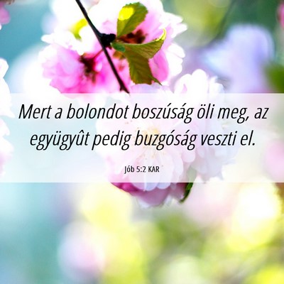 Picture 06 - Jób 5:2 KAR - Mert a bolondot boszúság öli meg, az - Bible Verse Picture