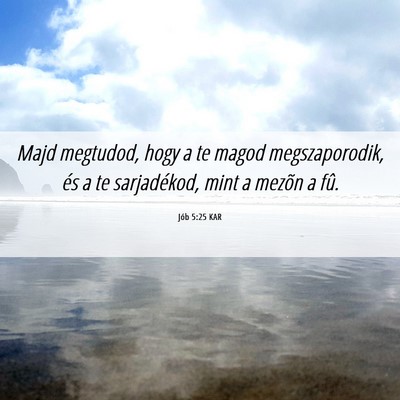 Picture 06 - Jób 5:25 KAR - Majd megtudod, hogy a te magod megszaporodik, és - Bible Verse Picture