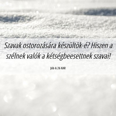 Picture 06 - Jób 6:26 KAR - Szavak ostorozására készültök-é? Hiszen a - Bible Verse Picture