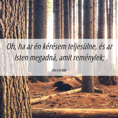 Picture 06 - Jób 6:8 KAR - Oh, ha az én kérésem teljesülne, és az Isten - Bible Verse Picture
