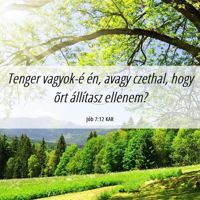 Picture 06 - Jób 7:12 KAR - Tenger vagyok-é én, avagy czethal, hogy õrt - Bible Verse Picture
