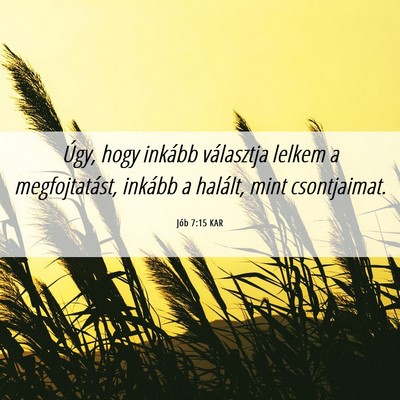 Picture 06 - Jób 7:15 KAR - Úgy, hogy inkább választja lelkem a - Bible Verse Picture