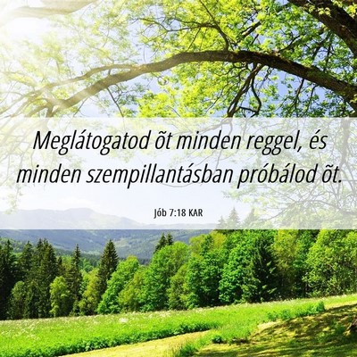 Picture 06 - Jób 7:18 KAR - Meglátogatod õt minden reggel, és minden - Bible Verse Picture