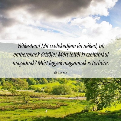 Picture 06 - Jób 7:20 KAR - Vétkeztem! Mit cselekedjem én néked, oh - Bible Verse Picture