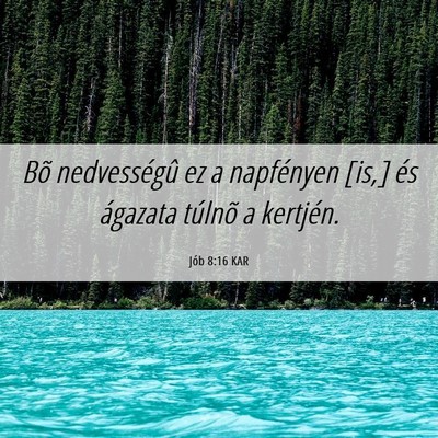 Picture 06 - Jób 8:16 KAR - Bõ nedvességû ez a napfényen [is,] és - Bible Verse Picture