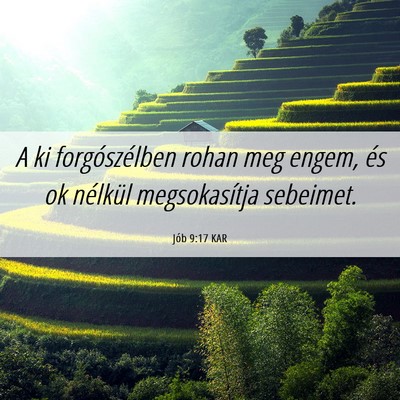 Picture 06 - Jób 9:17 KAR - A ki forgószélben rohan meg engem, és ok - Bible Verse Picture