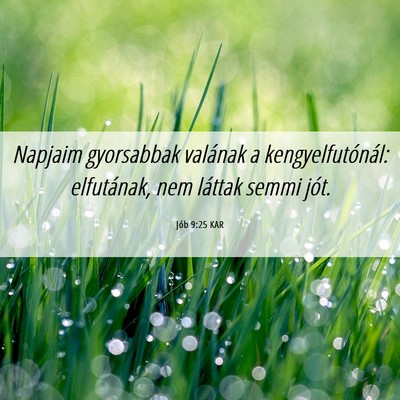 Picture 06 - Jób 9:25 KAR - Napjaim gyorsabbak valának a kengyelfutónál: - Bible Verse Picture