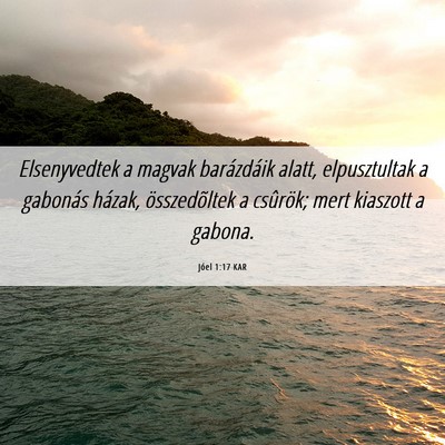Picture 06 - Jóel 1:17 KAR - Elsenyvedtek a magvak barázdáik alatt, - Bible Verse Picture