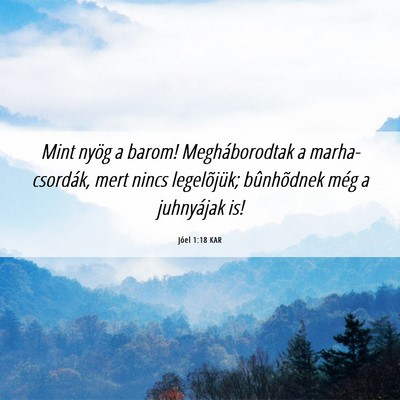 Picture 06 - Jóel 1:18 KAR - Mint nyög a barom! Megháborodtak a - Bible Verse Picture