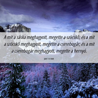 Picture 06 - Jóel 1:4 KAR - A mit a sáska meghagyott, megette a szöcskõ; - Bible Verse Picture