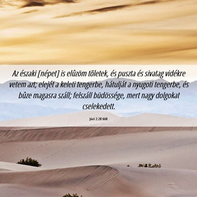 Picture 06 - Jóel 2:20 KAR - Az északi [népet] is elûzöm tõletek, és - Bible Verse Picture