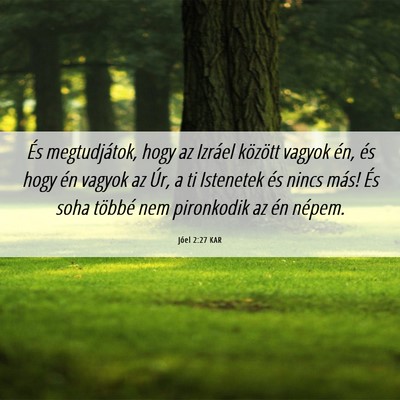 Picture 06 - Jóel 2:27 KAR - És megtudjátok, hogy az Izráel között vagyok - Bible Verse Picture