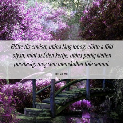 Picture 06 - Jóel 2:3 KAR - Elõtte tûz emészt, utána láng lobog; elõtte - Bible Verse Picture