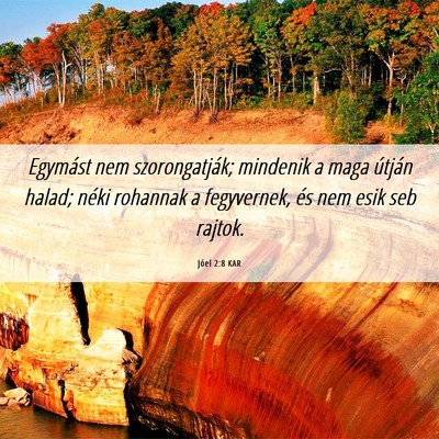 Picture 06 - Jóel 2:8 KAR - Egymást nem szorongatják; mindenik a maga - Bible Verse Picture