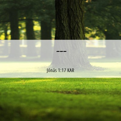 Picture 06 - Jónás 1:17 KAR -  - Bible Verse Picture