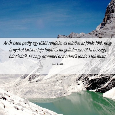 Picture 06 - Jónás 4:6 KAR - Az Úr Isten pedig egy tököt rendele, és - Bible Verse Picture