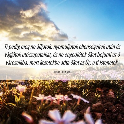 Picture 06 - Józsué 10:19 KAR - Ti pedig meg ne álljatok, nyomuljatok - Bible Verse Picture