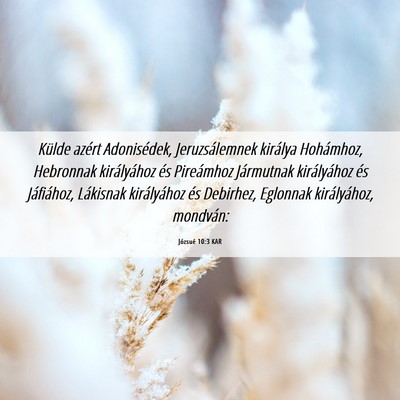 Picture 06 - Józsué 10:3 KAR - Külde azért Adonisédek, Jeruzsálemnek - Bible Verse Picture
