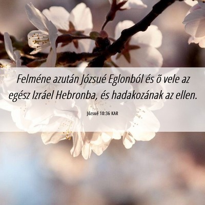 Picture 06 - Józsué 10:36 KAR - Felméne azután Józsué Eglonból és õ vele - Bible Verse Picture