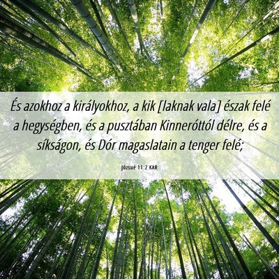 Picture 06 - Józsué 11:2 KAR - És azokhoz a királyokhoz, a kik [laknak vala] - Bible Verse Picture