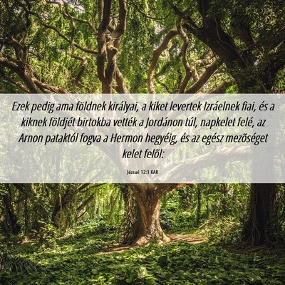 Picture 06 - Józsué 12:1 KAR - Ezek pedig ama földnek királyai, a kiket - Bible Verse Picture
