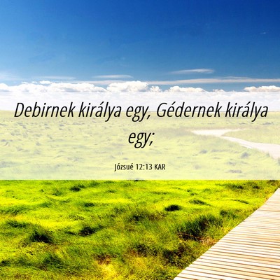 Picture 06 - Józsué 12:13 KAR - Debirnek királya egy, Gédernek királya - Bible Verse Picture