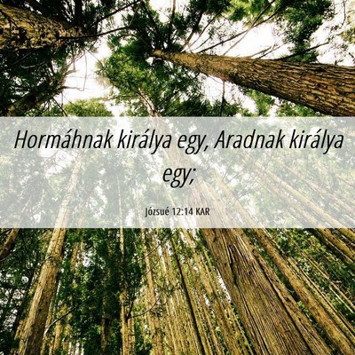 Picture 06 - Józsué 12:14 KAR - Hormáhnak királya egy, Aradnak királya - Bible Verse Picture