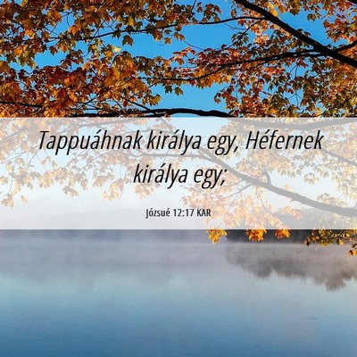 Picture 06 - Józsué 12:17 KAR - Tappuáhnak királya egy, Héfernek királya - Bible Verse Picture