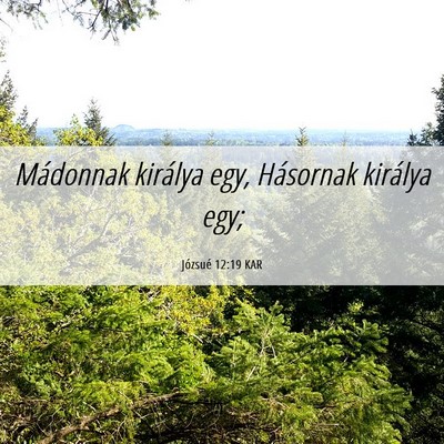 Picture 06 - Józsué 12:19 KAR - Mádonnak királya egy, Hásornak királya - Bible Verse Picture