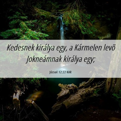 Picture 06 - Józsué 12:22 KAR - Kedesnek királya egy, a Kármelen levõ - Bible Verse Picture