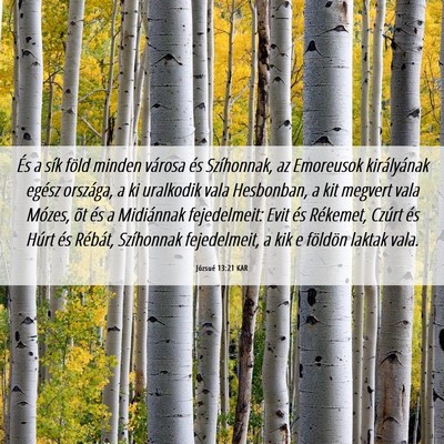Picture 06 - Józsué 13:21 KAR - És a sík föld minden városa és Szíhonnak, - Bible Verse Picture
