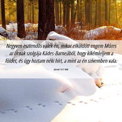 Picture 06 - Józsué 14:7 KAR - Negyven esztendõs valék én, mikor elküldött - Bible Verse Picture