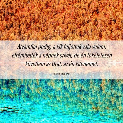 Picture 06 - Józsué 14:8 KAR - Atyámfiai pedig, a kik feljöttek vala velem, - Bible Verse Picture